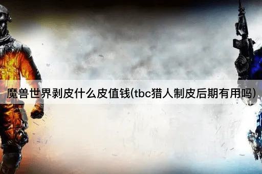 魔兽世界剥皮什么皮值钱(tbc猎人制皮后期有用吗)