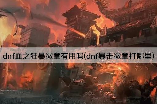 dnf血之狂暴徽章有用吗(dnf暴击徽章打哪里)