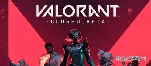 valorant隐藏分查询(瓦罗兰特是elo还是mmr)