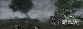 使命召唤3安装教程(使命召唤online安装卡在99)