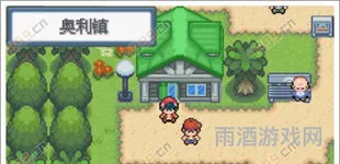 口袋妖怪白金光一周目攻略(口袋妖怪白金剧情流程)