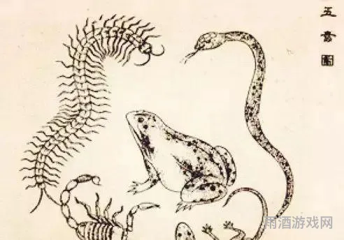 五毒之首是谁(五毒的排名顺序)