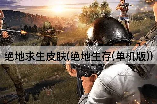 绝地求生皮肤(绝地生存(单机版))