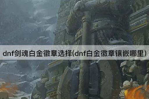 dnf剑魂白金徽章选择(dnf白金徽章镶嵌哪里)