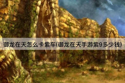 御龙在天怎么卡紫车(御龙在天手游紫9多少钱)