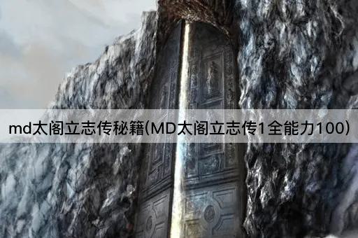 md太阁立志传秘籍(MD太阁立志传1全能力100)