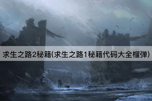 求生之路2秘籍(求生之路1秘籍代码大全榴弹)