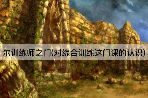尔训练师之门(对综合训练这门课的认识)