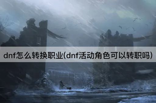 dnf怎么转换职业(dnf活动角色可以转职吗)