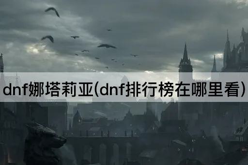 dnf娜塔莉亚(dnf排行榜在哪里看)