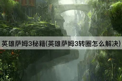 英雄萨姆3秘籍(英雄萨姆3转圈怎么解决)