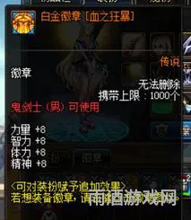 dnf勋章强化提升表(dnf白金徽章加多少名望)