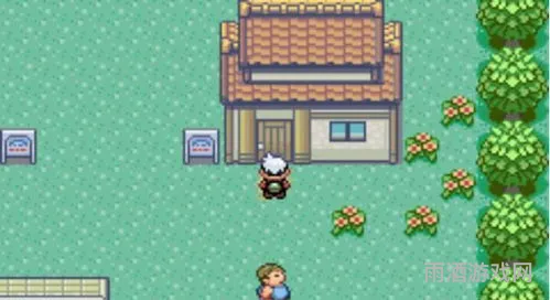 悟饭游戏厅免费版(口袋妖怪金手指代码大全究极绿宝石)