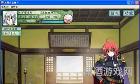 太阁立志传5DX怎么玩(太阁立志传5战国绘卷h全攻略)