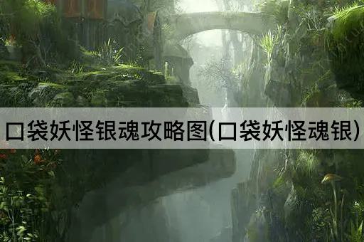 口袋妖怪银魂攻略图(口袋妖怪魂银)